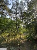 Działka leśna Warszawa Miedzeszyn, ul. Tuberozy. Zdjęcie 1