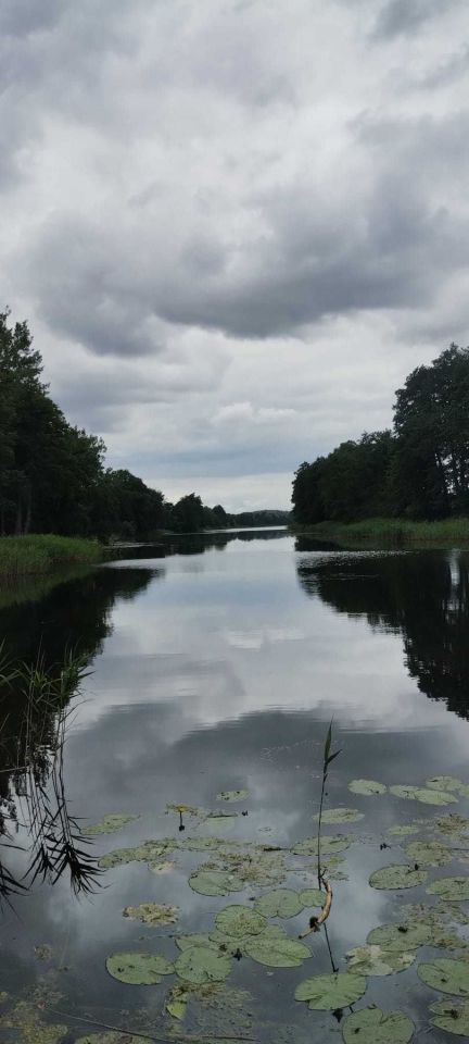 Działka rolno-budowlana Krzęcin. Zdjęcie 3