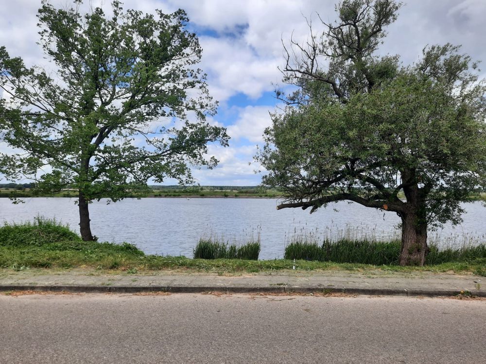 dom wolnostojący Widuchowa. Zdjęcie 7