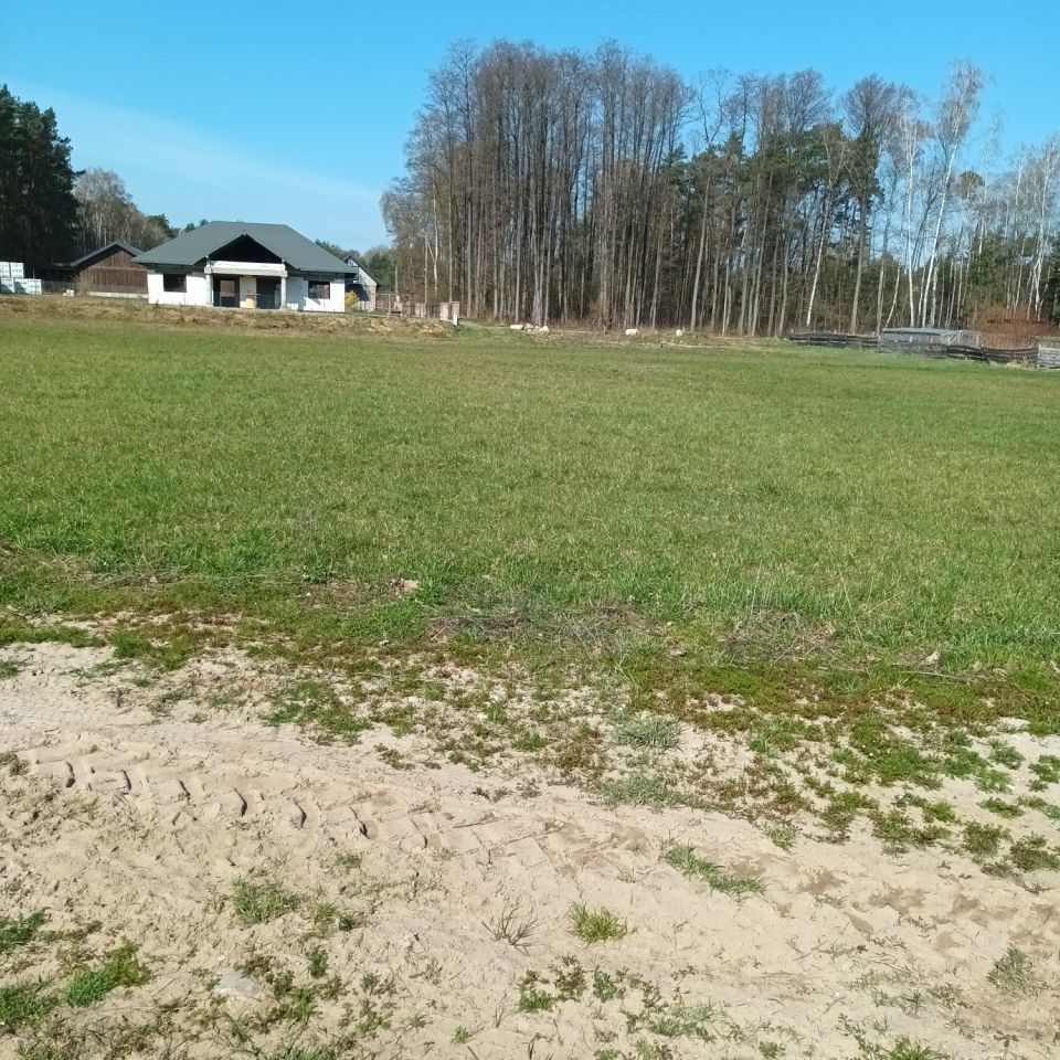 Działka rolno-budowlana Kownacica. Zdjęcie 2