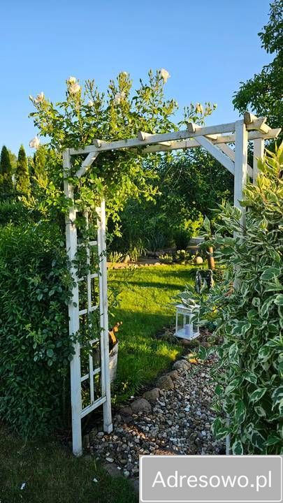 Działka rod Radom Wośniki, ul. Hodowlana. Zdjęcie 5