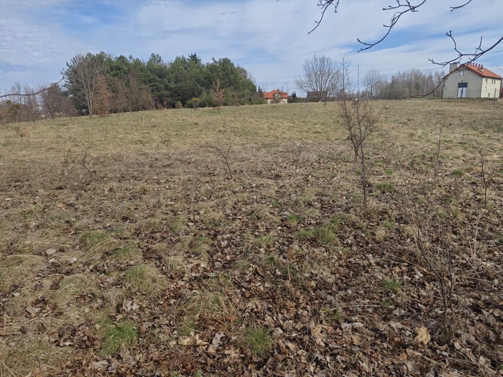 Działka rolno-budowlana Miłomłyn, ul. Ignacego Potockiego. Zdjęcie 6