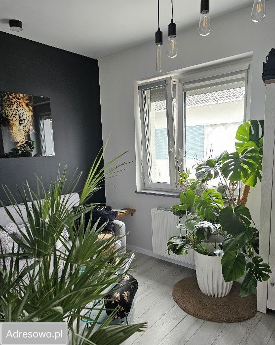 bliźniak, 5 pokoi Szczecin Krzekowo, ul. Waleriana Łukasińskiego. Zdjęcie 14