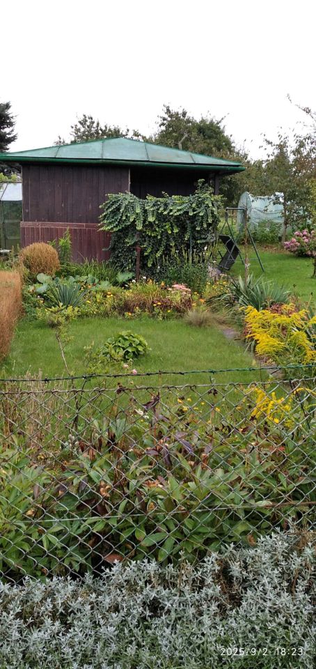 Działka rod Gdynia Obłuże, ul. płk. Stanisława Dąbka. Zdjęcie 4