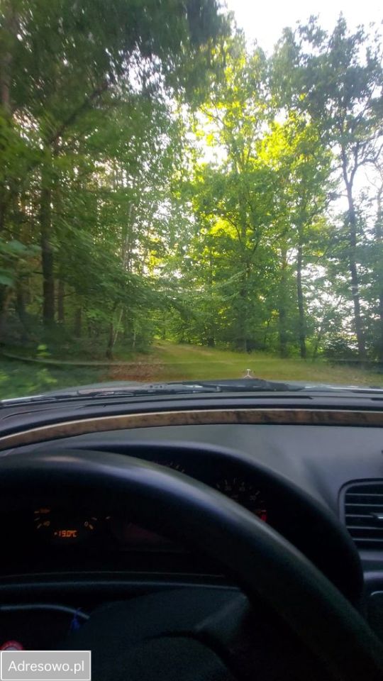 Działka rolna Smorawina. Zdjęcie 13