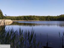 Działka rolna Chłopowo. Zdjęcie 2