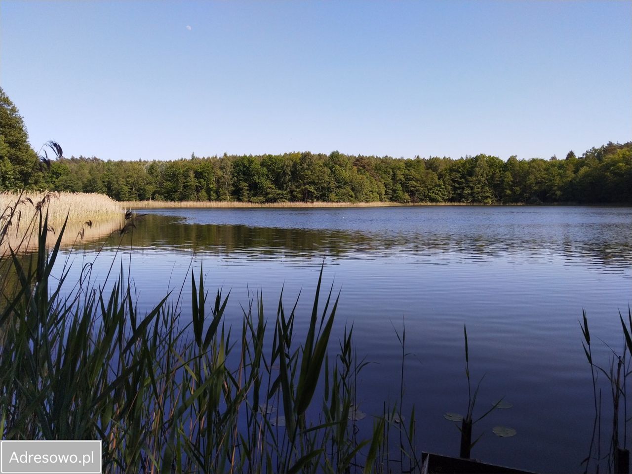 Działka rolna Chłopowo. Zdjęcie 3