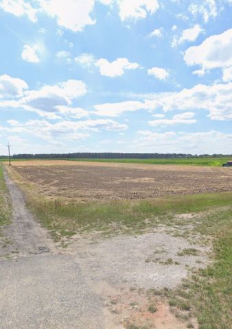 Działka budowlana Kopalina. Zdjęcie 1