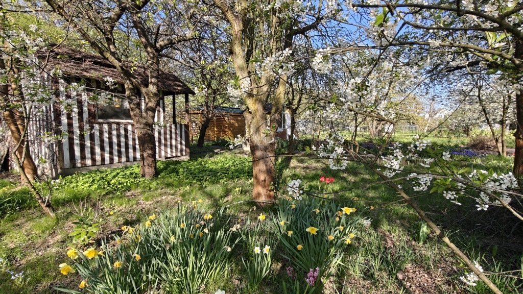 Działka rod Wrocław Krzyki. Zdjęcie 6