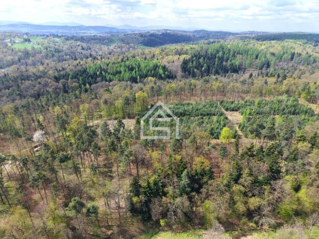 Działka rekreacyjna Bochnia, ul. Strzelecka. Zdjęcie 5