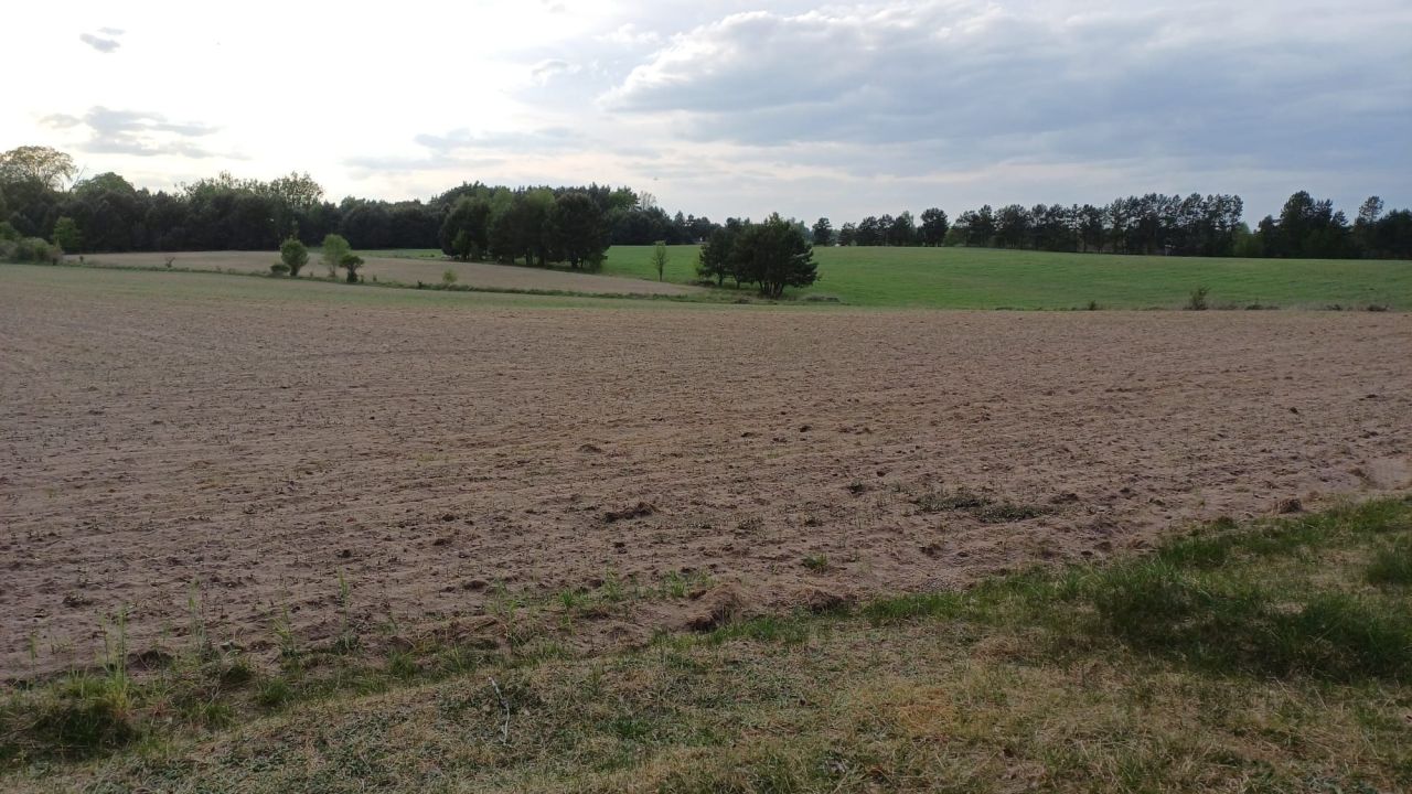 Działka rolna Łomnica. Zdjęcie 6
