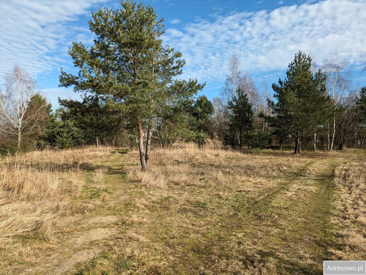Działka budowlana Okmiany. Zdjęcie 3