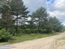 Działka budowlana Września. Zdjęcie 1