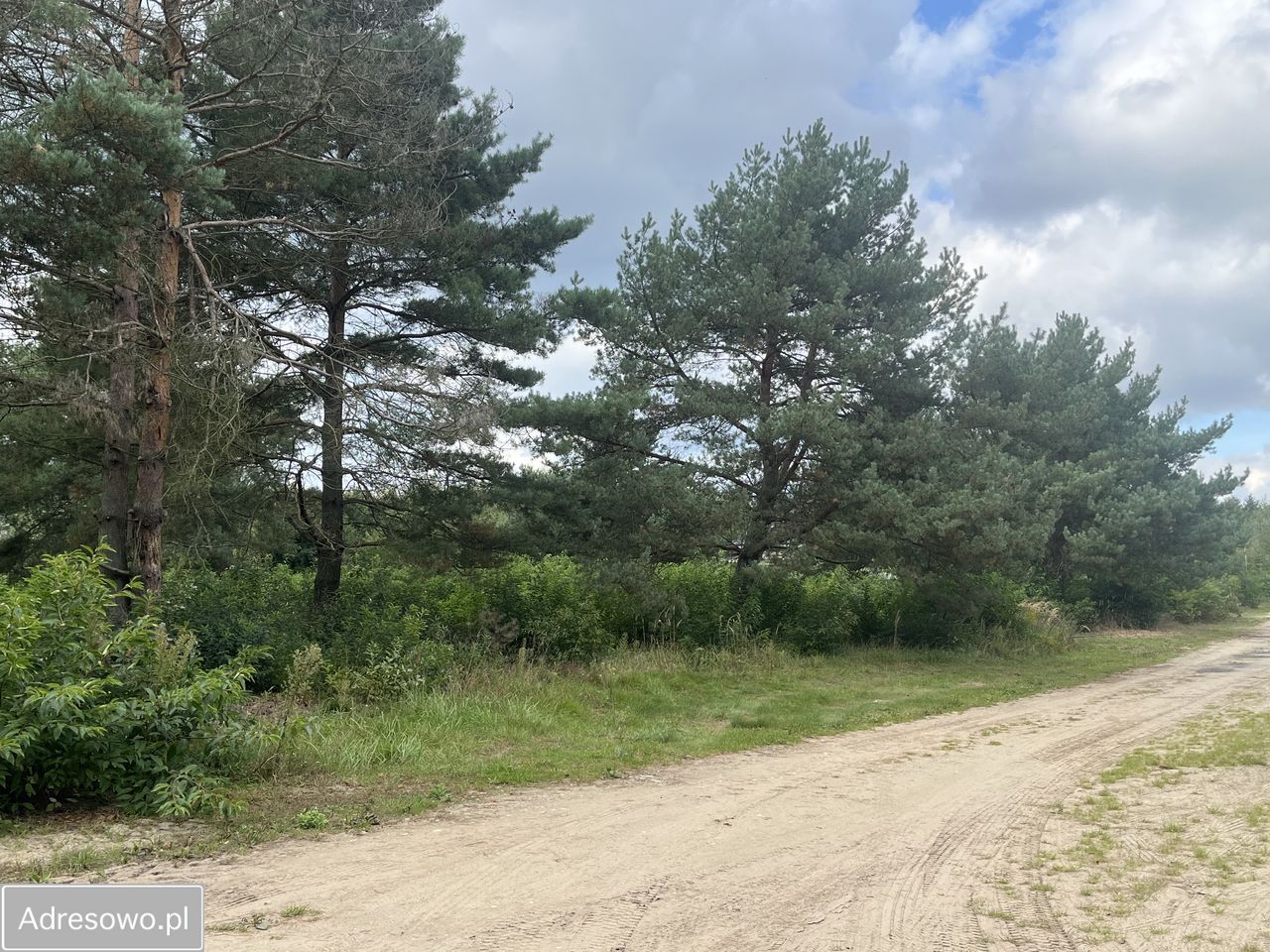 Działka budowlana Września. Zdjęcie 2