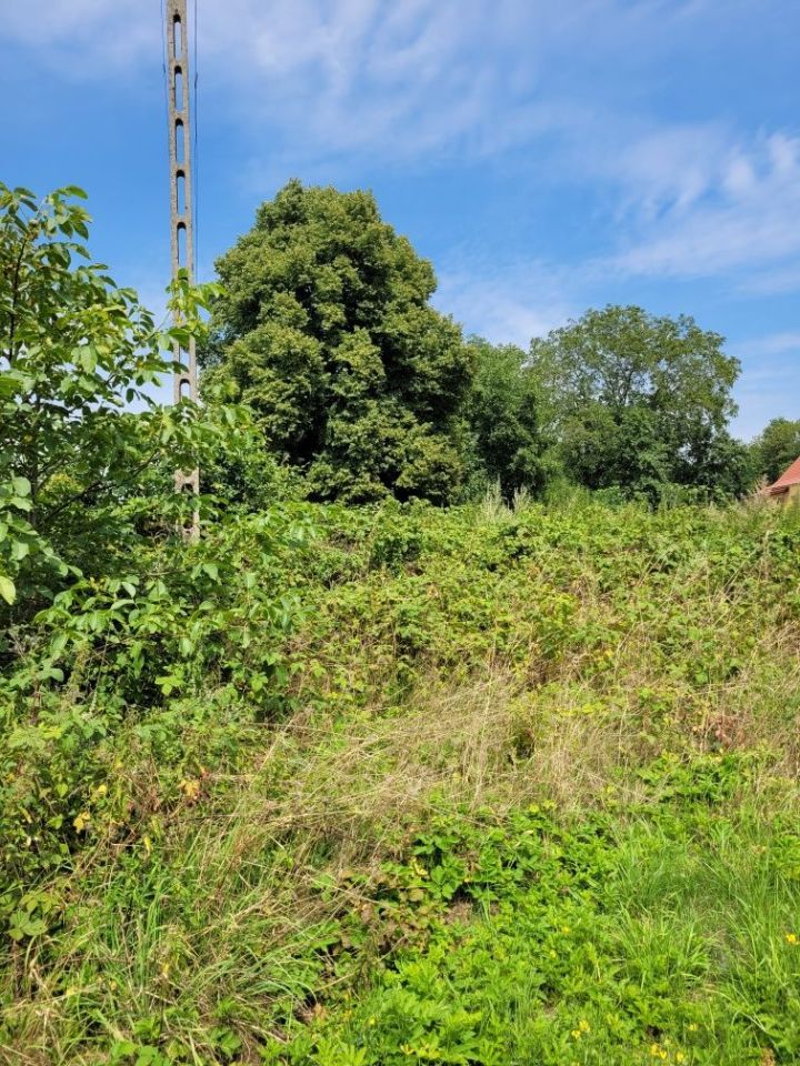 Działka rolno-budowlana Bieniów. Zdjęcie 6