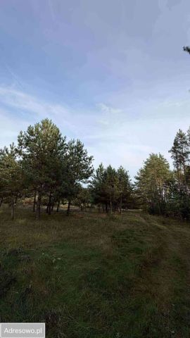 Działka budowlana Leńce. Zdjęcie 1
