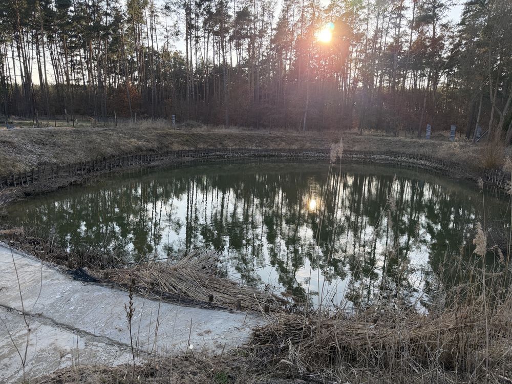 dom wolnostojący Trzebicz Nowy. Zdjęcie 4