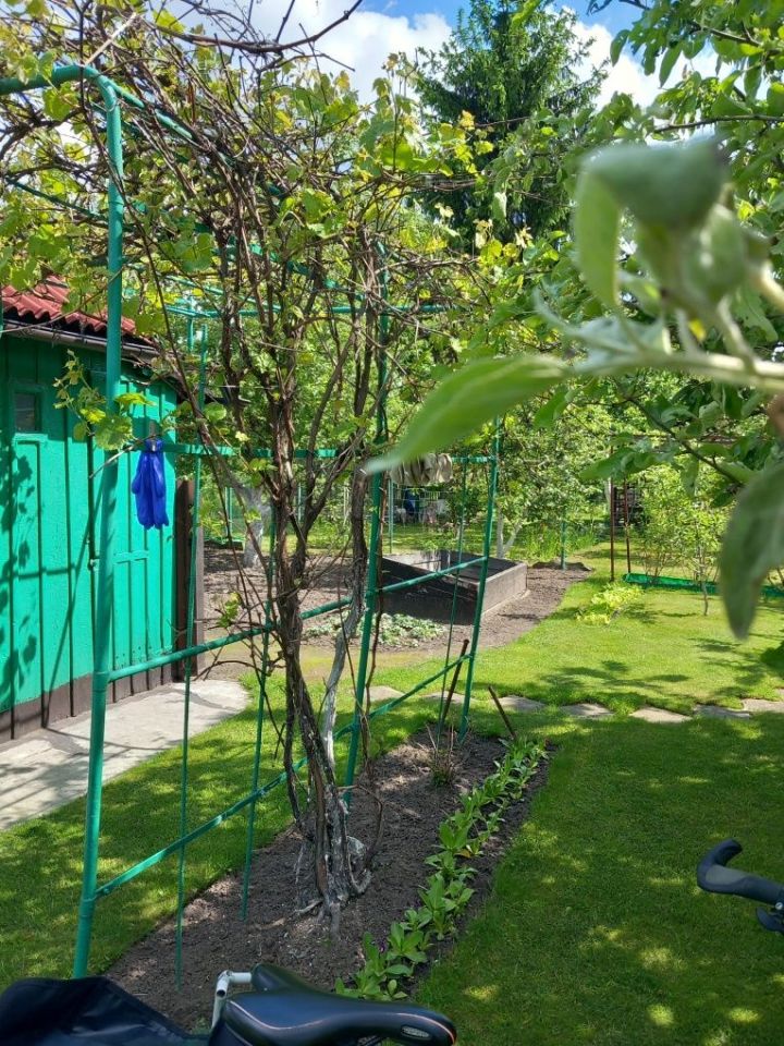 Działka rod Wrocław Fabryczna, ul. Klecińska. Zdjęcie 7