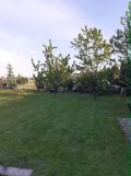 Działka rolno-budowlana Nowy Krępiec, ul. Skośna. Zdjęcie 2