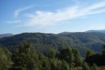 Działka inwestycyjna Brenna Leśnica, ul. Orłowa. Zdjęcie 4