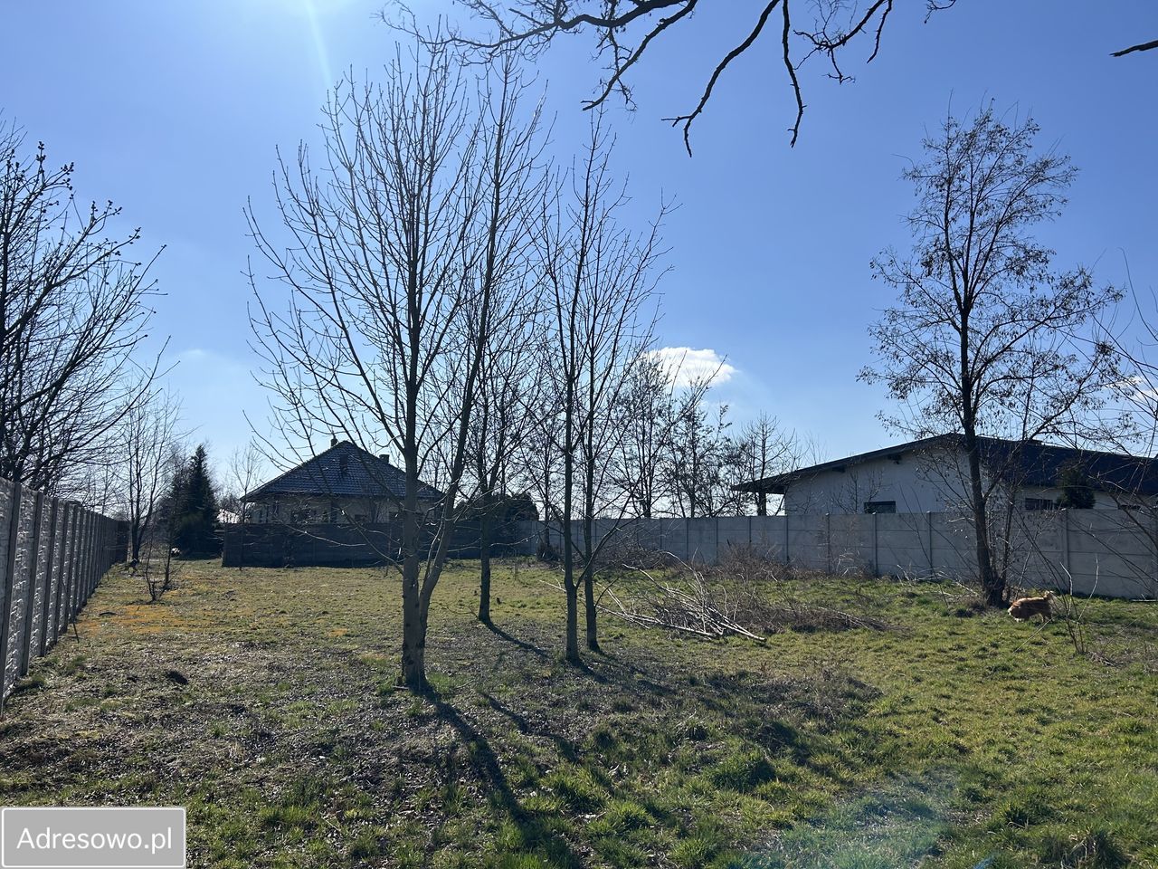 Działka budowlana Wtórek, ul. Ostrowska. Zdjęcie 2