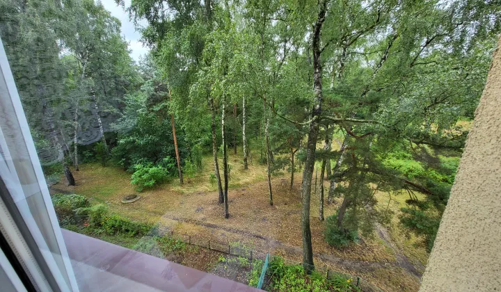Mieszkanie 3-pokojowe Dąbrowa Górnicza Ząbkowice, os. Robotnicze