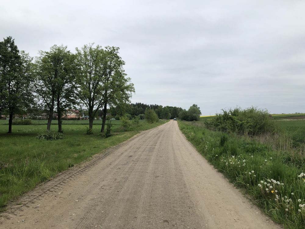 Działka budowlana Lipa. Zdjęcie 7