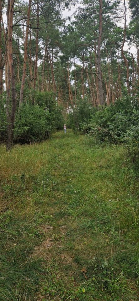 Działka inwestycyjna Wągrowiec. Zdjęcie 3