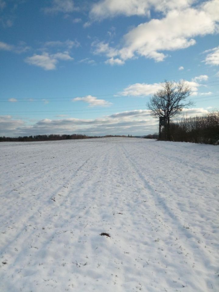 Działka Popowice, bez pośrednika 4 ha