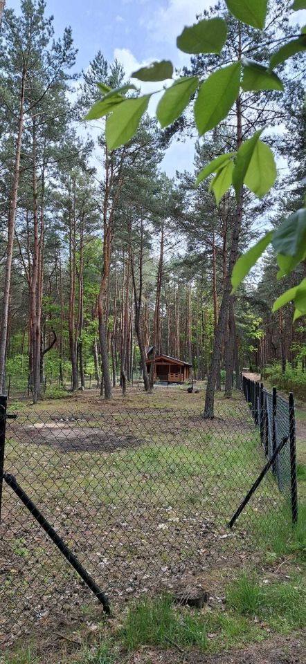 Działka budowlana Kania Polska, ul. Chabrowa. Zdjęcie 2