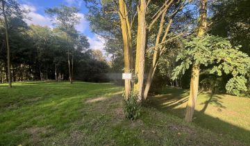 Działka budowlana Biedrzychowice Dolne