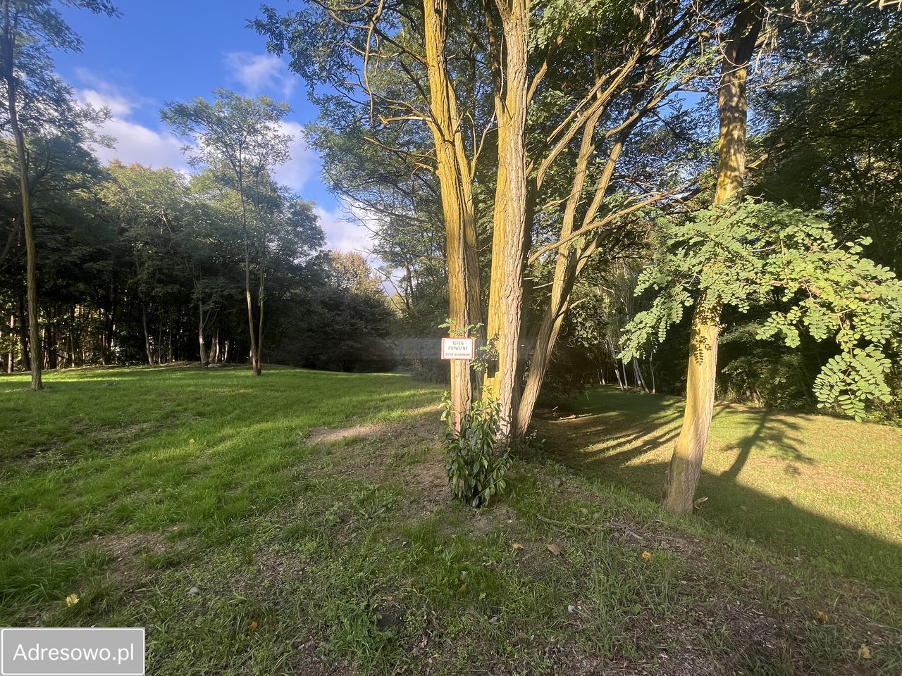 Działka budowlana Biedrzychowice Dolne. Zdjęcie 2