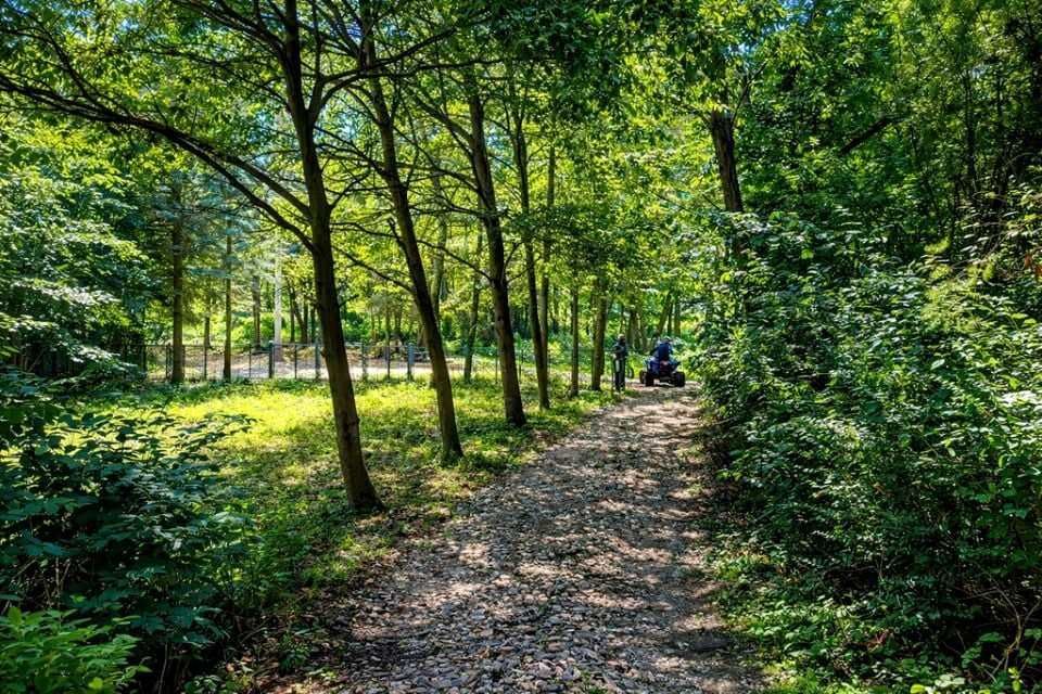 Działka inwestycyjna Sielsko. Zdjęcie 4