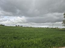 Działka rolna Roszkowo