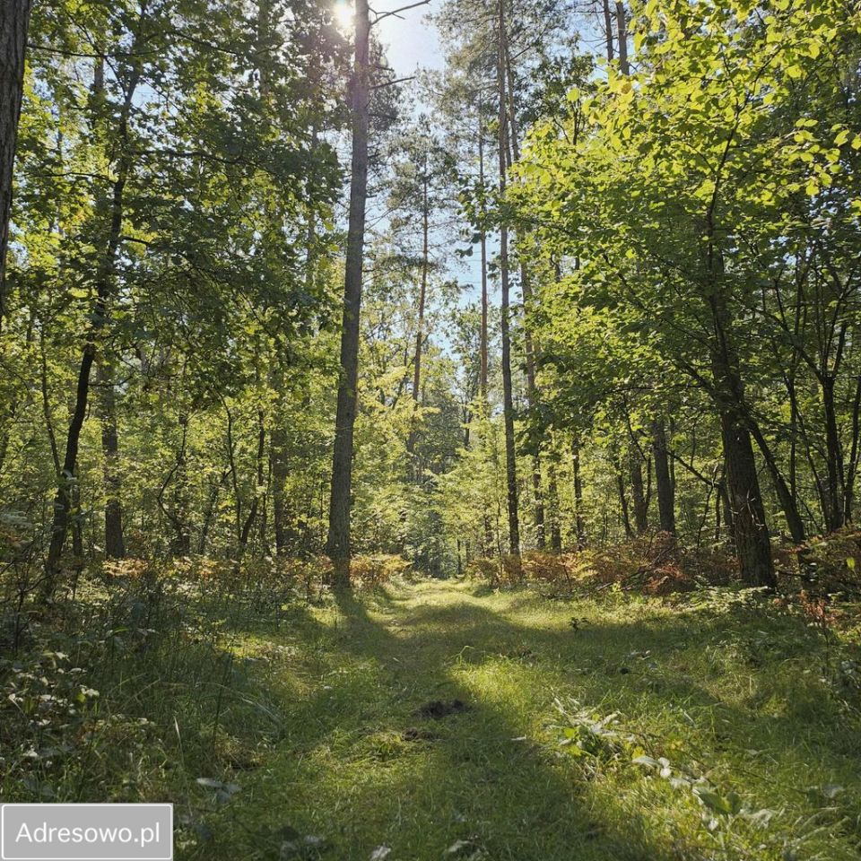 Działka Gulczewo. Zdjęcie 6