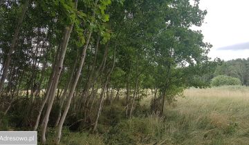 Działka inwestycyjna Zieleniewo, ul. ks. Jerzego Popiełuszki