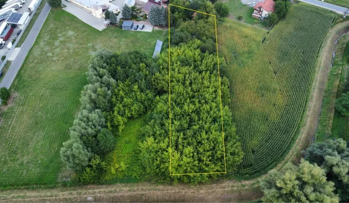 Działka rolno-budowlana Dębica, ul. Sandomierska
