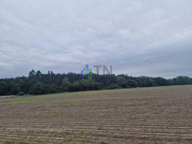 Działka budowlana Nowy Dwór. Zdjęcie 5