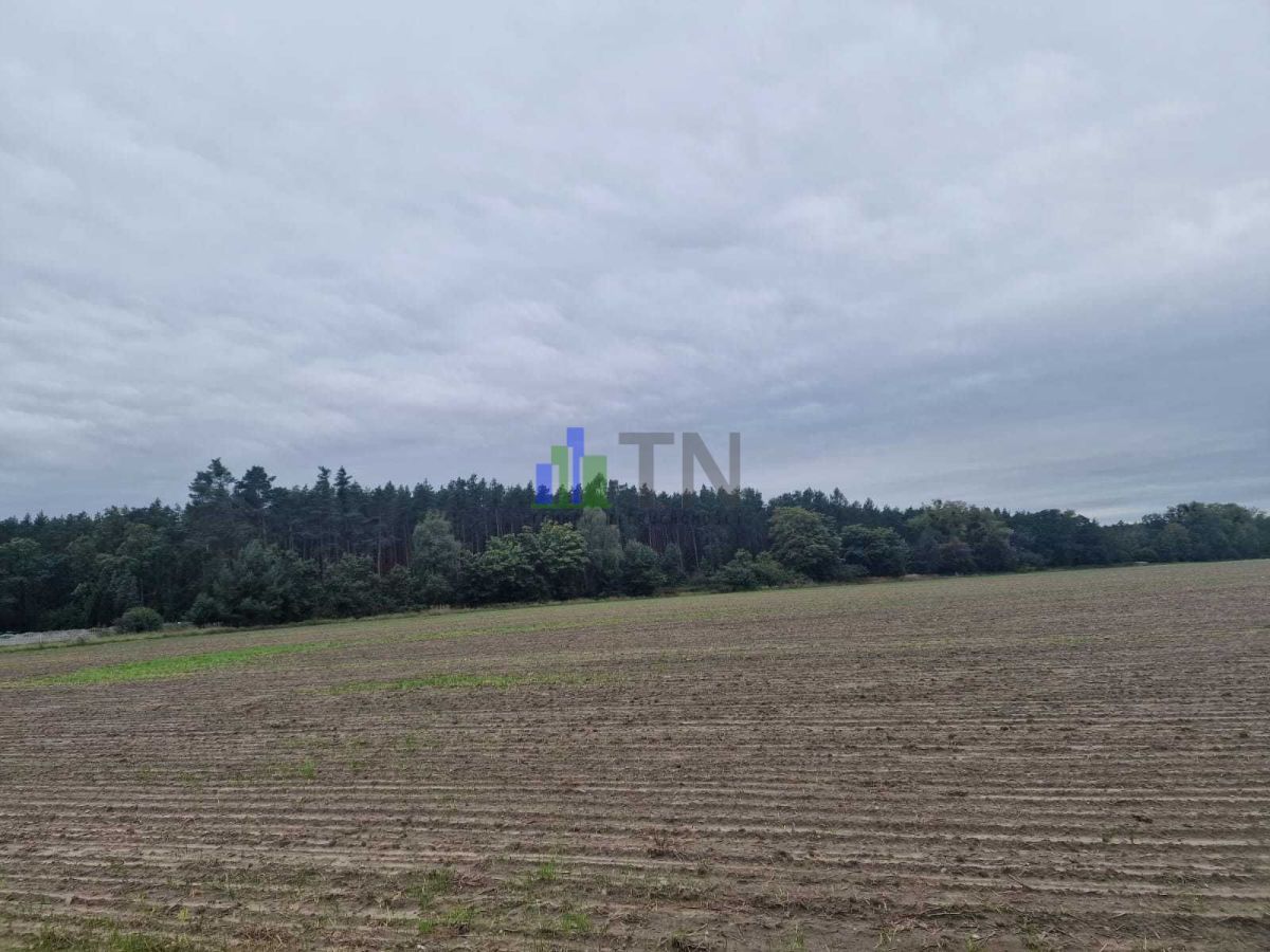 Działka budowlana Nowy Dwór. Zdjęcie 5