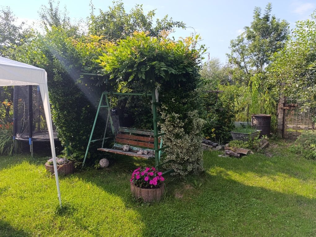 Działka rod Zabrze. Zdjęcie 3