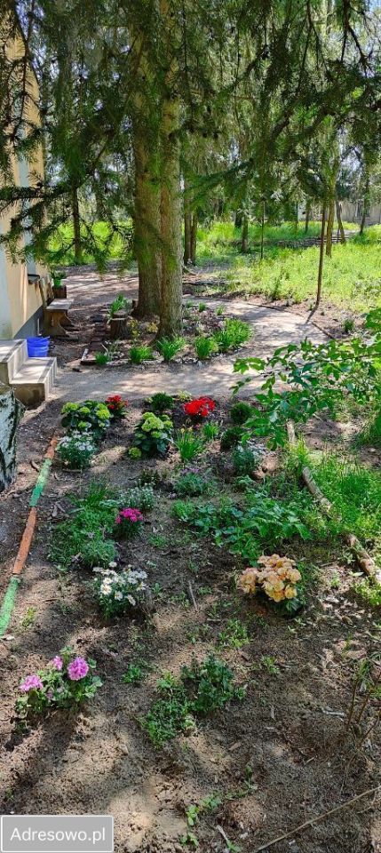 Biuro Warszawa Bielany, ul. Księżycowa. Zdjęcie 9