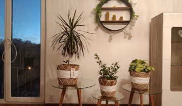 Mieszkanie 1-pokojowe Gliwice Łabędy, ul. Rzeczycka