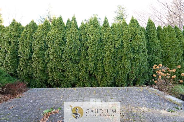 dom wolnostojący, 3 pokoje Rumia, ul. Derdowskiego. Zdjęcie 15