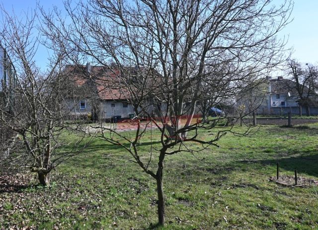 bliźniak, 4 pokoje Schodnia. Zdjęcie 20