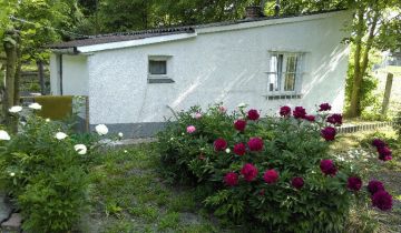 siedlisko, 2 pokoje Niewirków, Niewirków 19