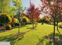 dom wolnostojący, 5 pokoi Bolechówko, ul. Platanowa. Zdjęcie 3