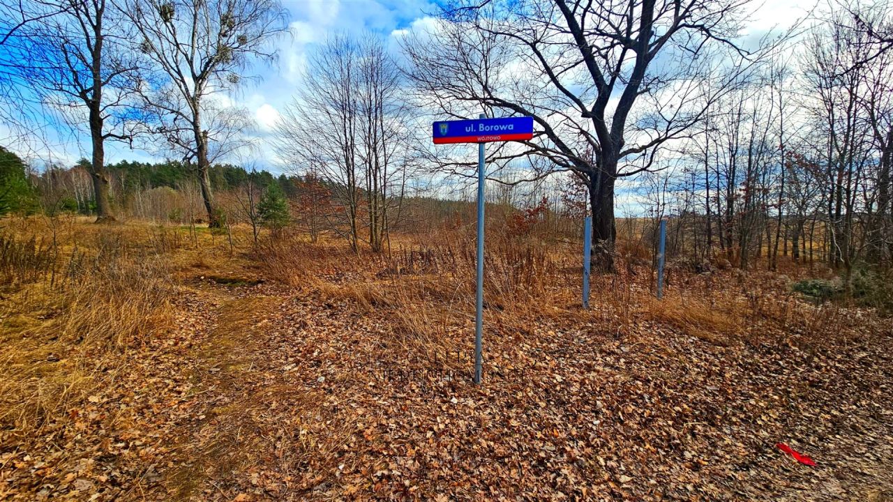 Działka inwestycyjna Wójtowo, ul. Borowa. Zdjęcie 2