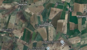 Działka rolna Sosnowo