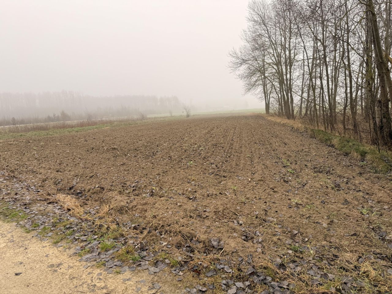 Działka budowlana Gułów. Zdjęcie 4