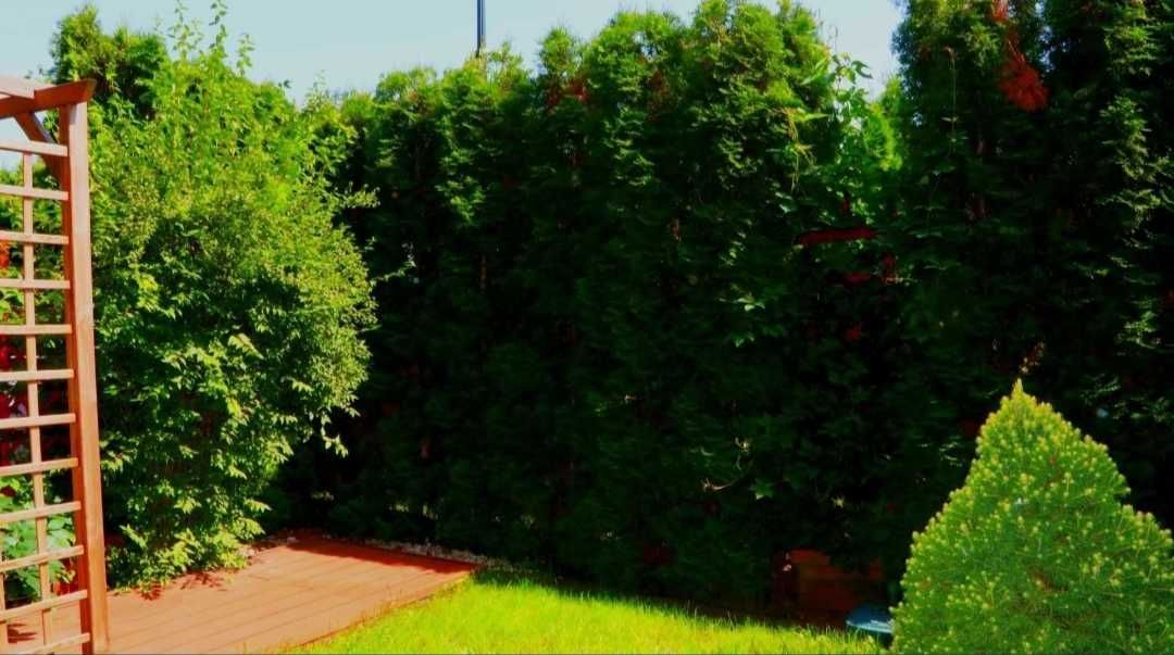 Mieszkanie 2-pokojowe Elbląg. Zdjęcie 7